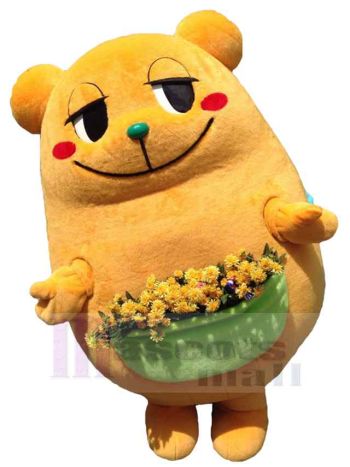 bär maskottchen kostüm