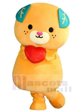 bär maskottchen kostüm