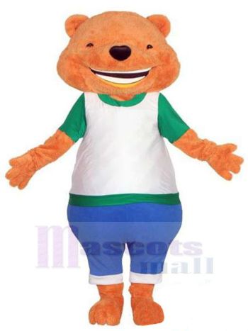 bär maskottchen kostüm