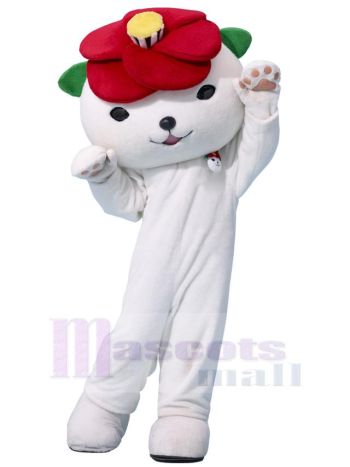 bär maskottchen kostüm