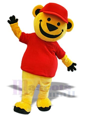 bär maskottchen kostüm