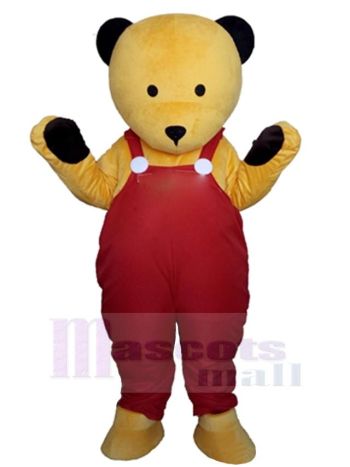 bär maskottchen kostüm