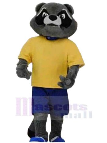 Waschbär maskottchen kostüm