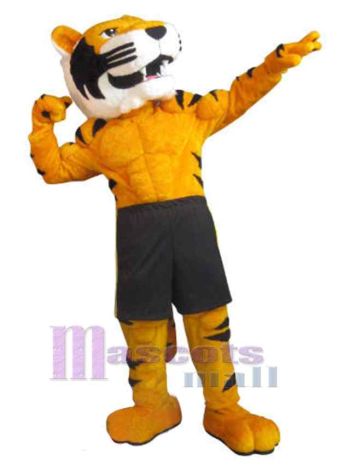 Tiger maskottchen kostüm
