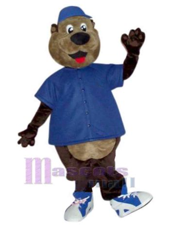 bär maskottchen kostüm