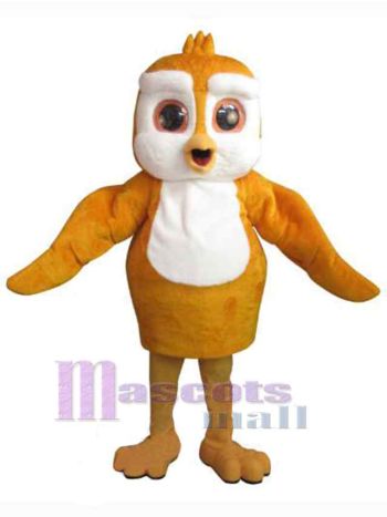 Eule maskottchen kostüm