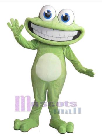 Frosch maskottchen kostüm