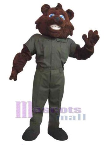 bär maskottchen kostüm