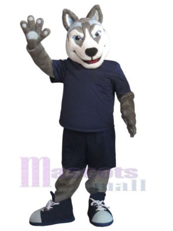 Hund maskottchen kostüm