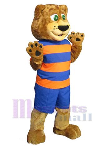 bär maskottchen kostüm