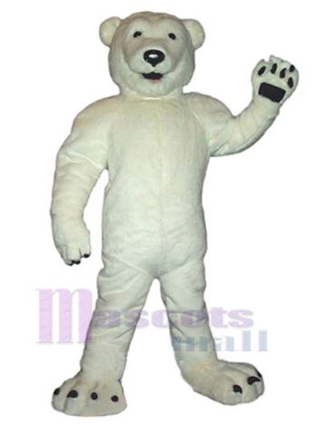 bär maskottchen kostüm