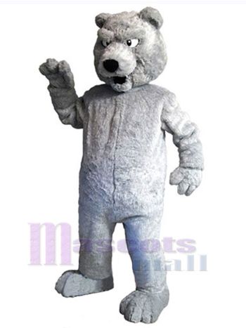 bär maskottchen kostüm