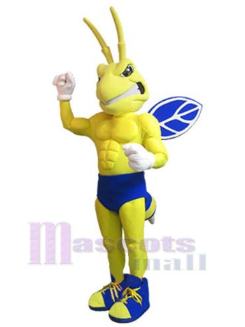 Biene maskottchen kostüm