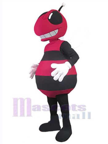 Biene maskottchen kostüm