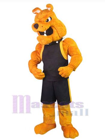 Hund maskottchen kostüm
