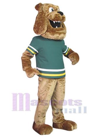 Hund maskottchen kostüm
