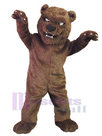 bär maskottchen kostüm