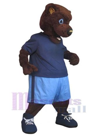 bär maskottchen kostüm