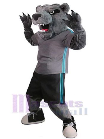 bär maskottchen kostüm