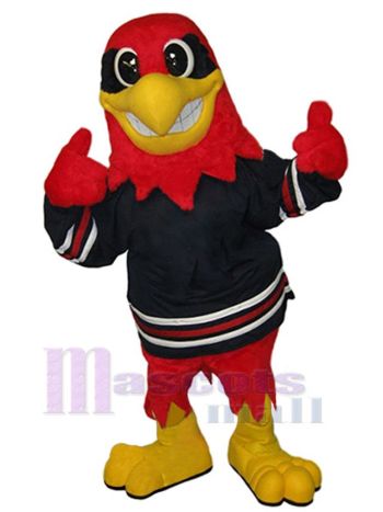 Falke maskottchen kostüm
