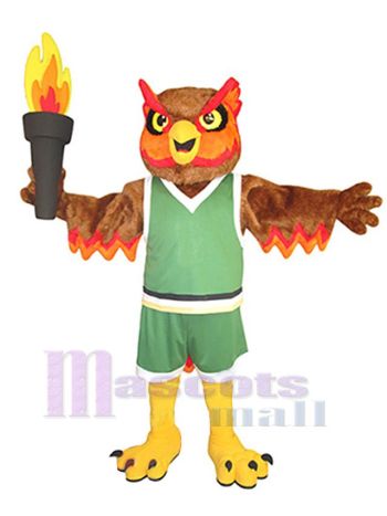 Eule maskottchen kostüm