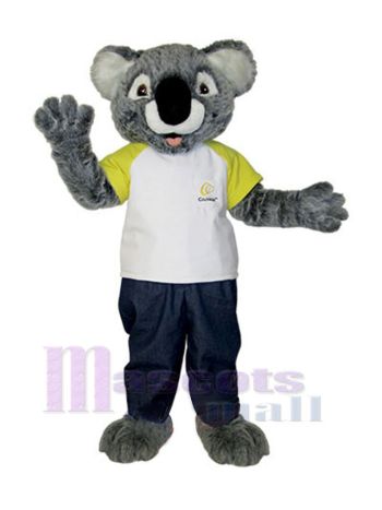 Koala maskottchen kostüm