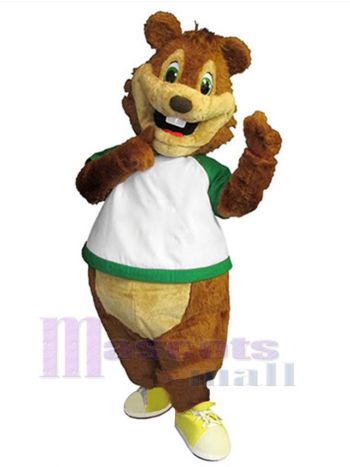 Eichhörnchen maskottchen kostüm
