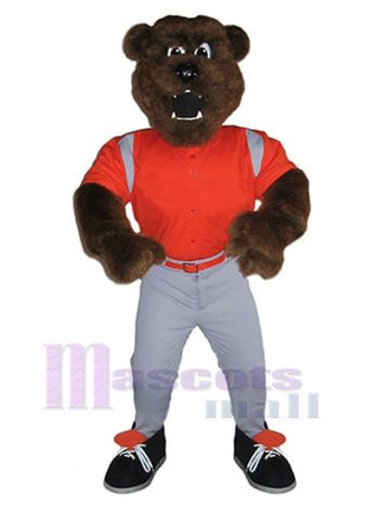 bär maskottchen kostüm