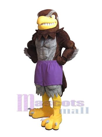 Falke maskottchen kostüm
