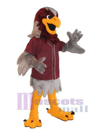 Falke maskottchen kostüm