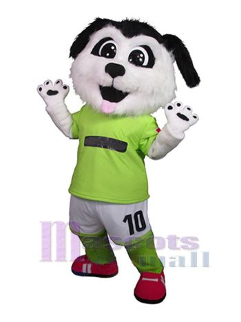 Hund maskottchen kostüm