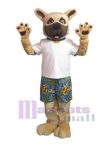 Hund maskottchen kostüm