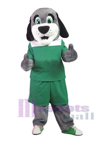 Hund maskottchen kostüm