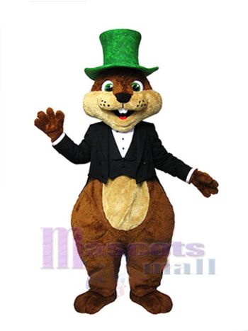 Eichhörnchen maskottchen kostüm