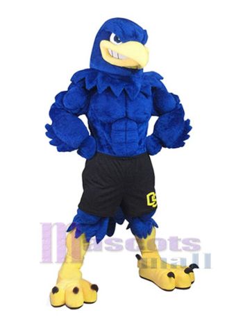Falke maskottchen kostüm