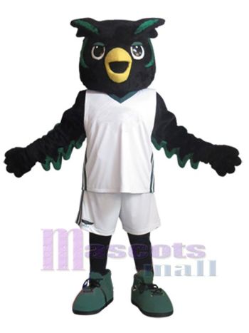 Eule maskottchen kostüm