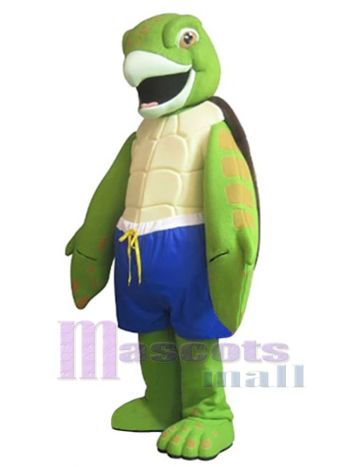 Schildkröte maskottchen kostüm