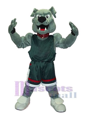 Hund maskottchen kostüm