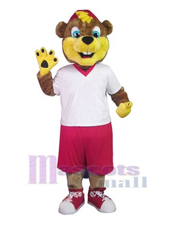 bär maskottchen kostüm