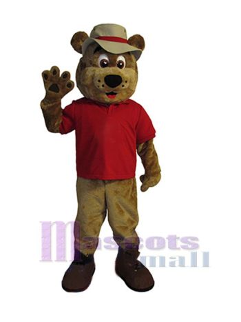 bär maskottchen kostüm
