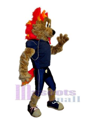 Kojote maskottchen kostüm