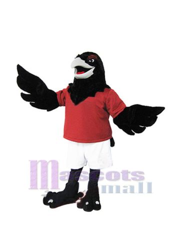 Rabe maskottchen kostüm