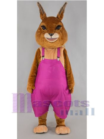 Kaninchen Maskottchenkostüm
