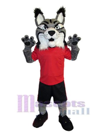 Luchs maskottchen kostüm