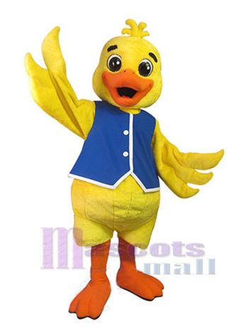 Ente maskottchen kostüm