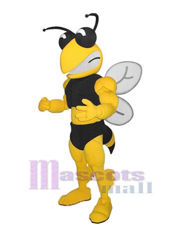Biene maskottchen kostüm