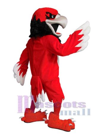 Falke maskottchen kostüm