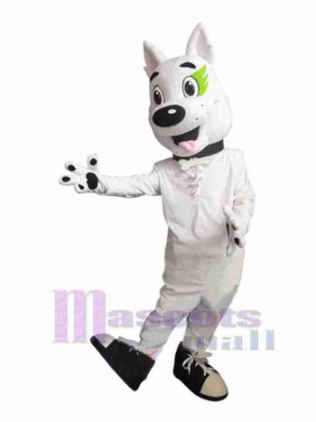 Hund maskottchen kostüm
