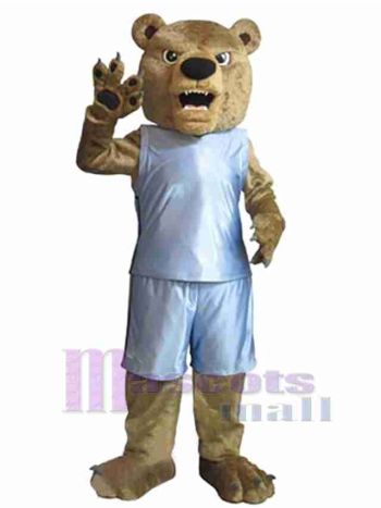 bär maskottchen kostüm