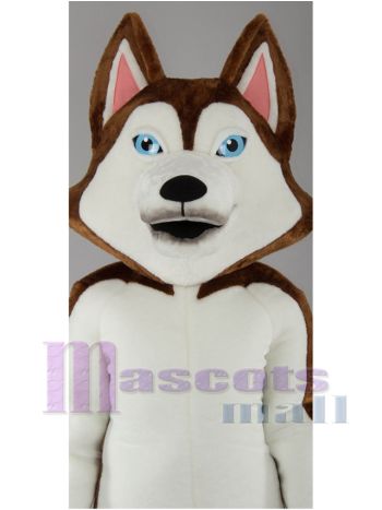 Hund maskottchen kostüm